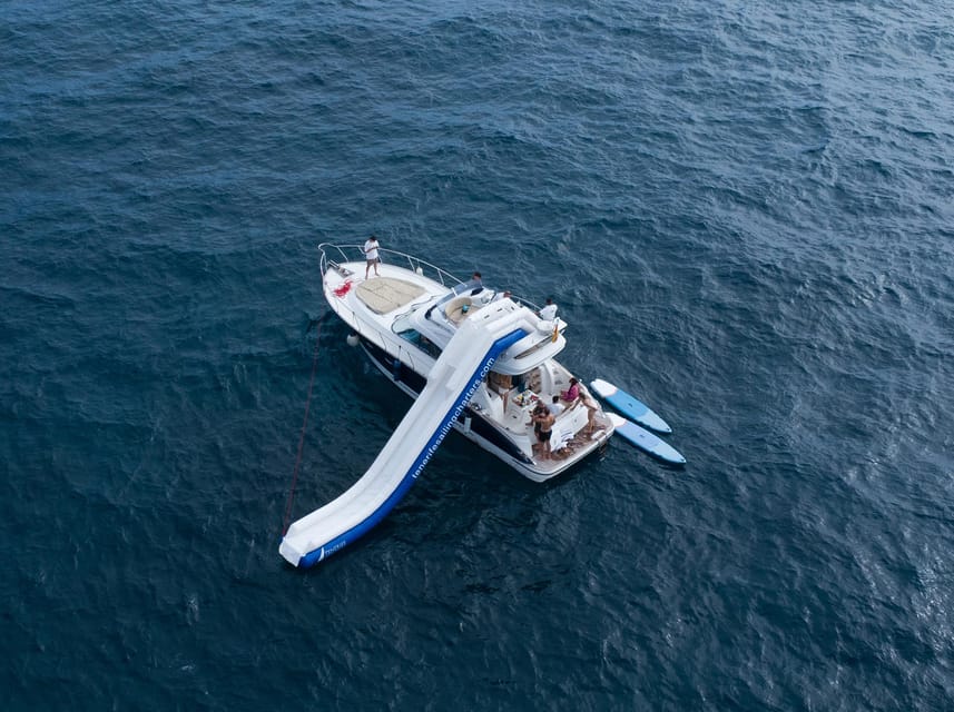 Tenerife: Shared Yacht Cruise with Champagne and Tapas - Following Tenerife’s coast and watching for wildlife