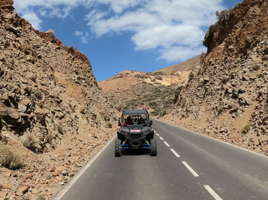 Tenerife: Volcano Teide Buggy Tour with Wine Tasting & Tapas - A vineyard finish with wine and Canarian tapas