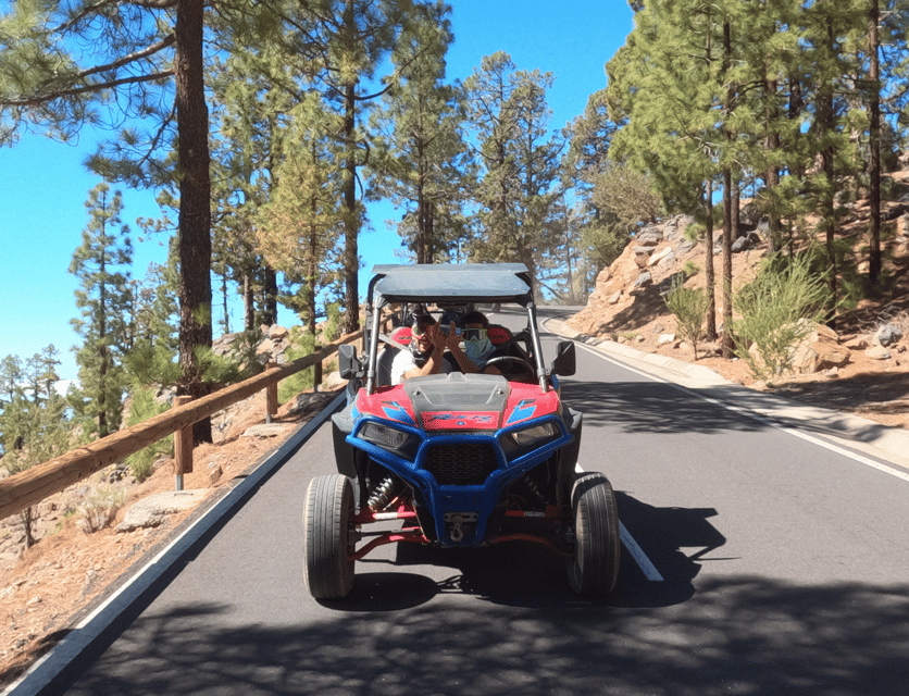 Tenerife: Volcano Teide Buggy Tour with Wine Tasting & Tapas - Who will enjoy this Tenerife excursion?