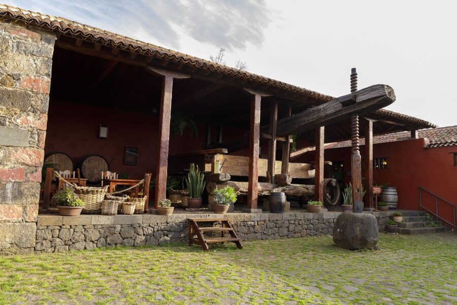 Tenerife: Wine Museum Ticket with Local Wines & Food Tasting - How the two hours usually work