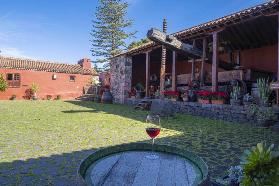 Tenerife: Wine Museum Ticket with Local Wines & Food Tasting - Is $18 good value?