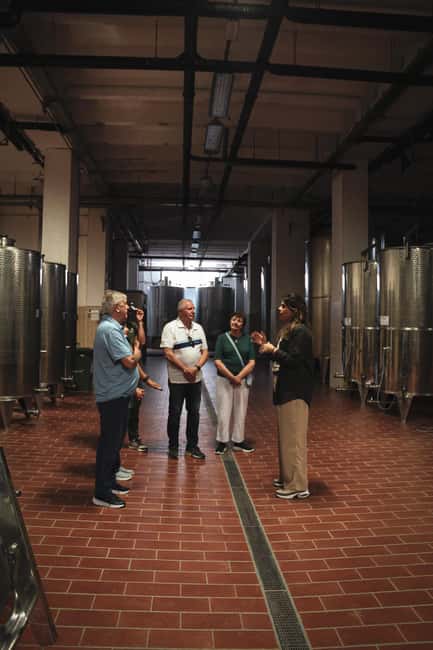 Tenute Girolamo: Winery tour and Premium Tasting in the Itria Valley - Why the guide matters here