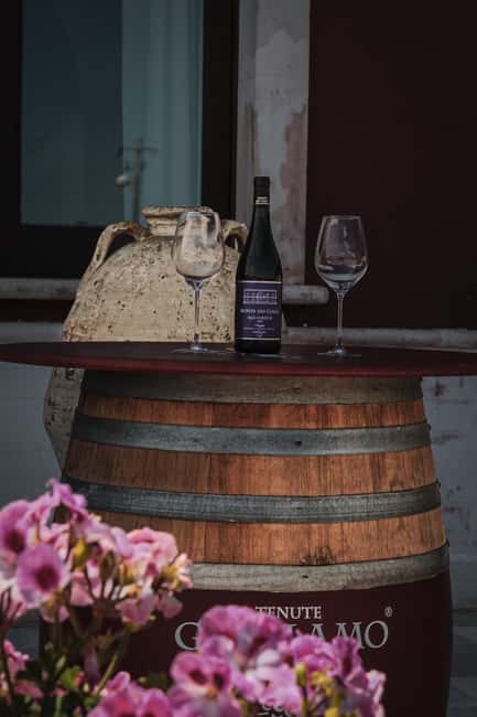 Tenute Girolamo: Winery tour and Premium Tasting in the Itria Valley - Who will enjoy Tenute Girolamo most?