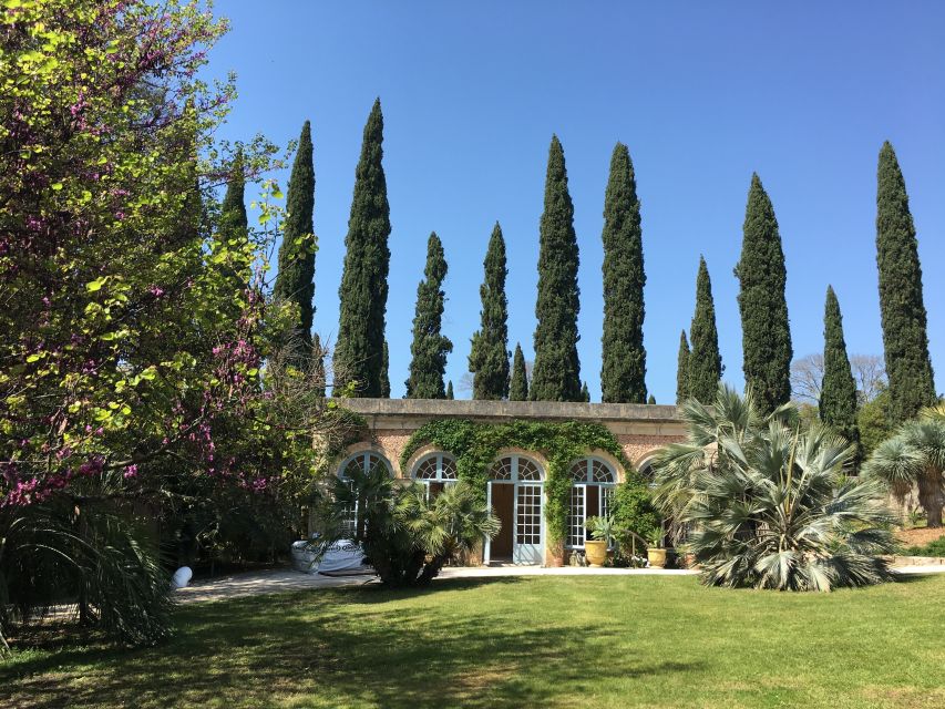 The Châteaux of Grès de Montpellier & Wine Tasting - Two sides of Montpellier wine in one afternoon