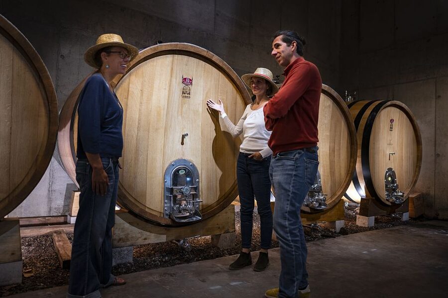 The Châteaux of Grès de Montpellier & Wine Tasting - Timing, transport, and group size