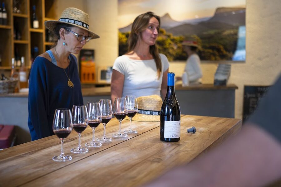 The Châteaux of Grès de Montpellier & Wine Tasting - What makes this tour memorable