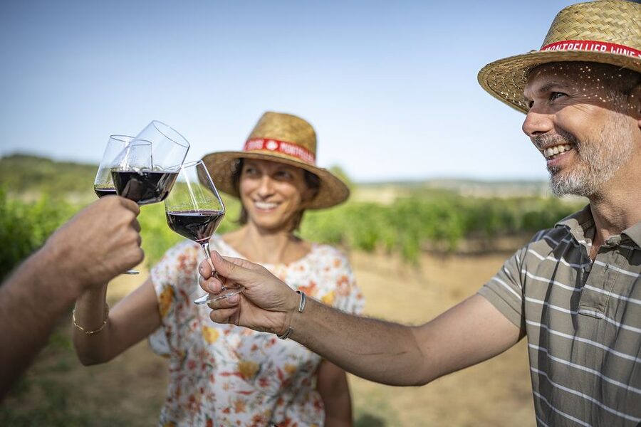 The Châteaux of Grès de Montpellier & Wine Tasting - Who should book this afternoon