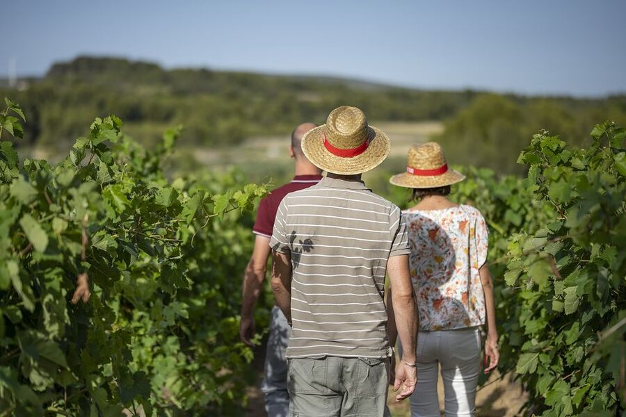 The Châteaux of Grès de Montpellier & Wine Tasting - Should you book the Château de Flaugergues and Puech Haut tour?