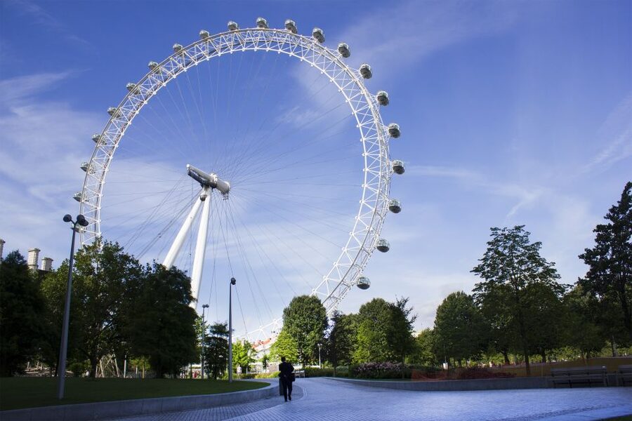 The London Eye Champagne Experience - Thirty minutes above Westminster