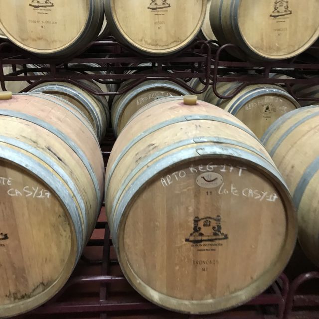 The Real Algarve: 2 Boutique Wineries & Silves Tour - Two wineries, six wines, and the real Algarve