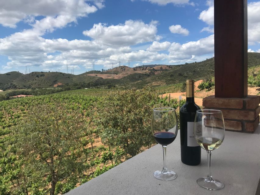 The Real Algarve: 2 Boutique Wineries & Silves Tour - Quinta do Francês shows another side of production