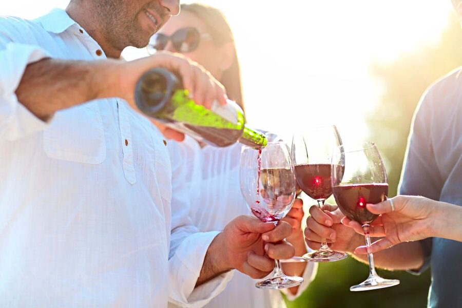 The Real Algarve: 2 Boutique Wineries & Silves Tour - Small groups make the day feel personal
