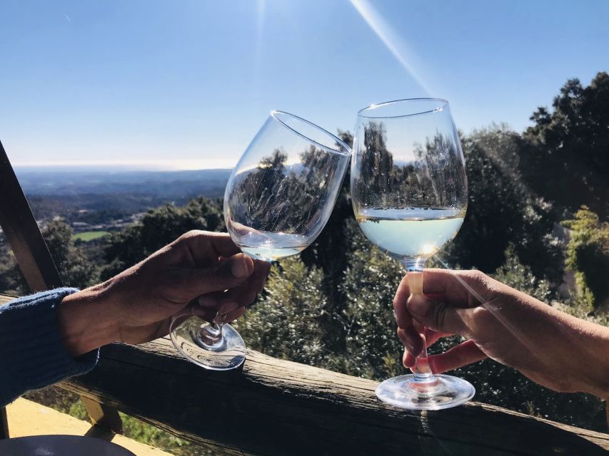 The Real Algarve: 2 Boutique Wineries & Silves Tour - Who will enjoy this tour most