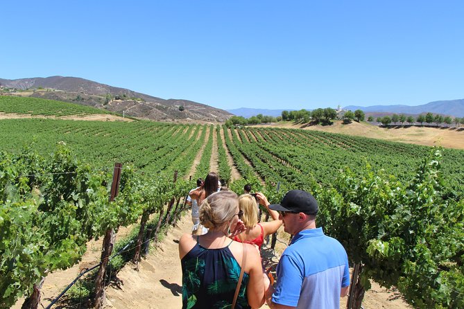 The Shared Temecula Wine Tour from Anaheim - Why This Temecula Day Trip Works From Anaheim