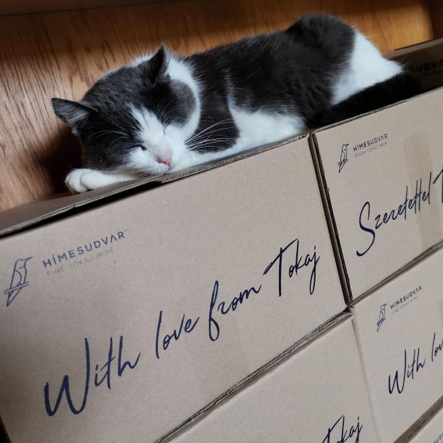 Tokaj: Classic Wine Tasting - FAQ