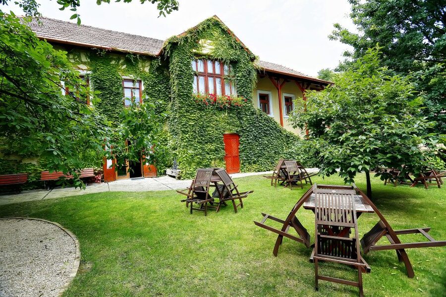 Tokaj: Classic Wine Tasting - Why the old cellar matters