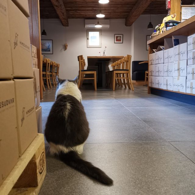 Tokaj: Classic Wine Tasting - Learning about Tokaj without a long lecture