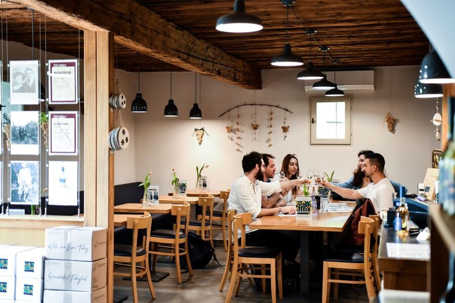 Tokaj: Vineyard Tour & Tasting - Key points to know before booking