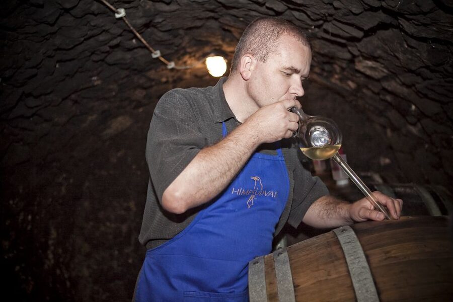 Tokaj: Vineyard Tour & Tasting - Why this Tokaj tasting is more than a flight of wine