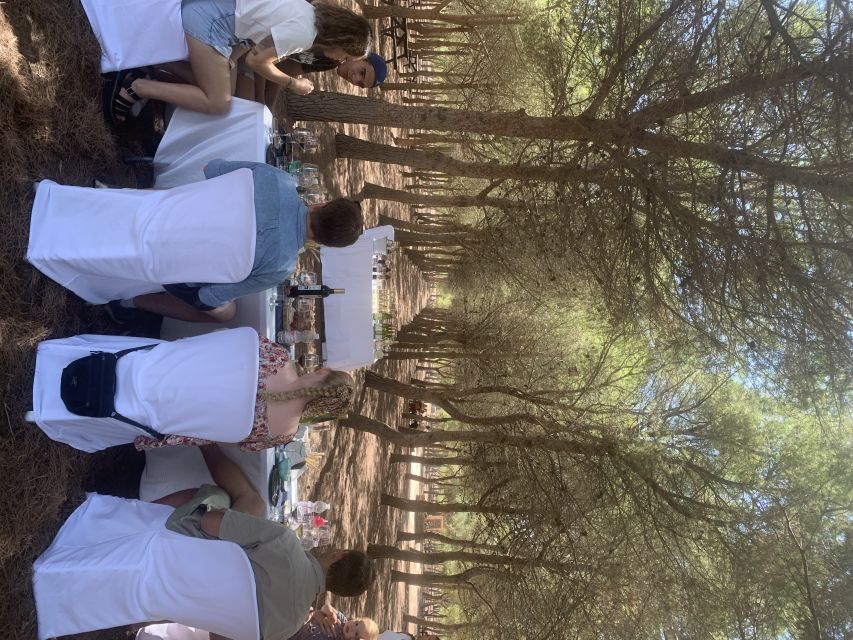 Torrevieja: Local Wine and Food Tasting Tour in La Mata Park - Key points to know before booking