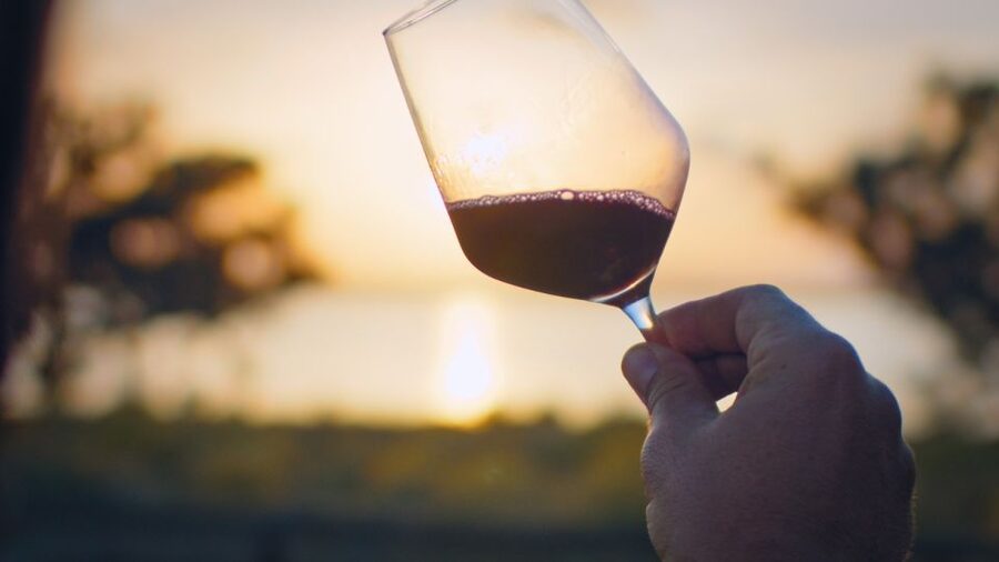 Torrevieja: Local Wine and Food Tasting Tour in La Mata Park - Why La Mata is a good setting for a wine tour
