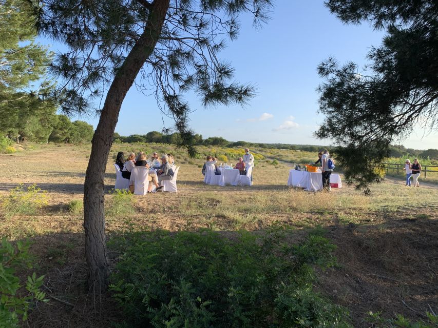 Torrevieja: Local Wine and Food Tasting Tour in La Mata Park - Lagoon views and the chance to see flamingos