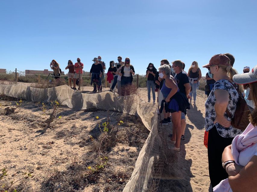 Torrevieja: Local Wine and Food Tasting Tour in La Mata Park - What you actually taste at the tables