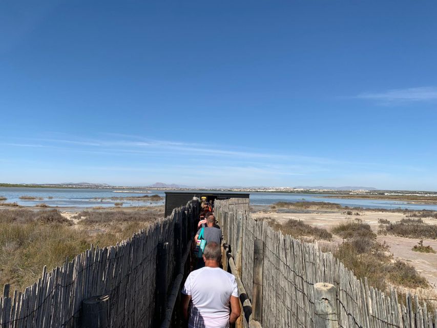 Torrevieja: Local Wine and Food Tasting Tour in La Mata Park - Accessibility is not as simple as the label suggests