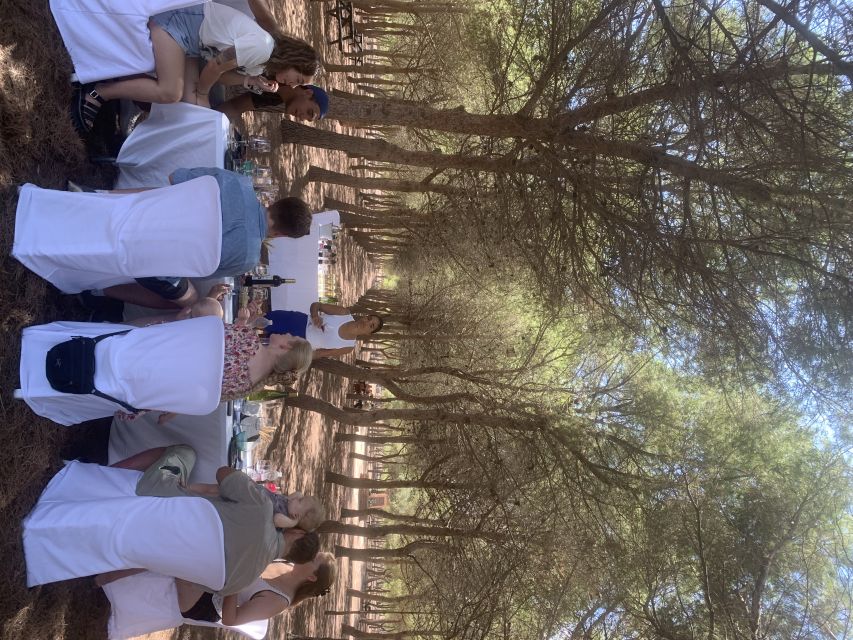 Torrevieja: Local Wine and Food Tasting Tour in La Mata Park - Walking the vineyard route through the park