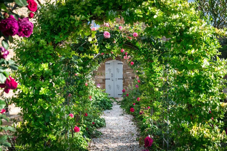 Total Immersion Wine Tour in Chianti - Arriving at Fattoria di Montemaggio