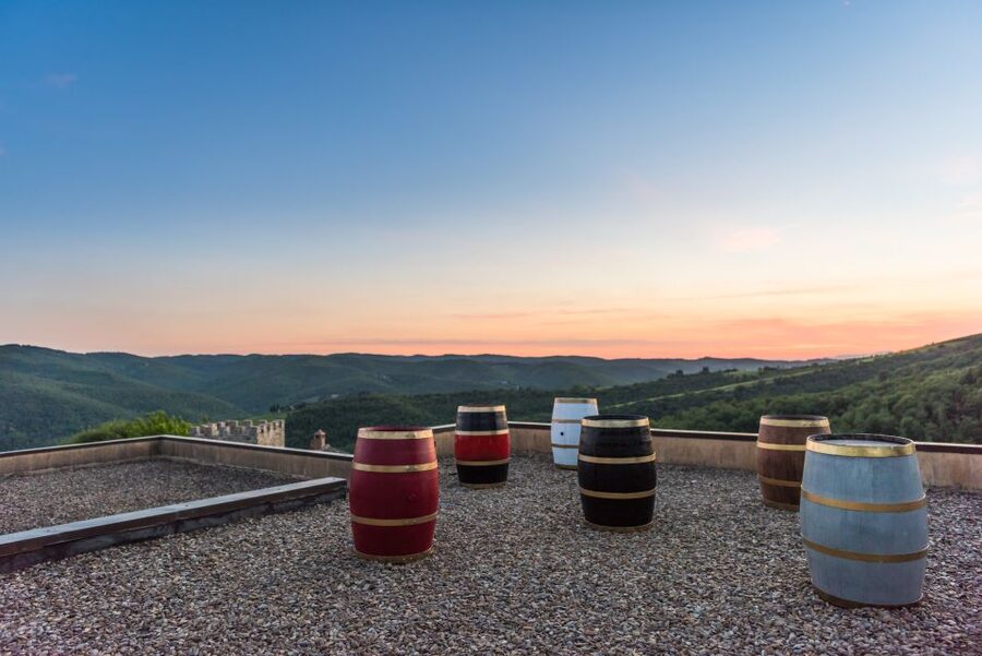 Total Immersion Wine Tour in Chianti - Should you book Fattoria di Montemaggio?