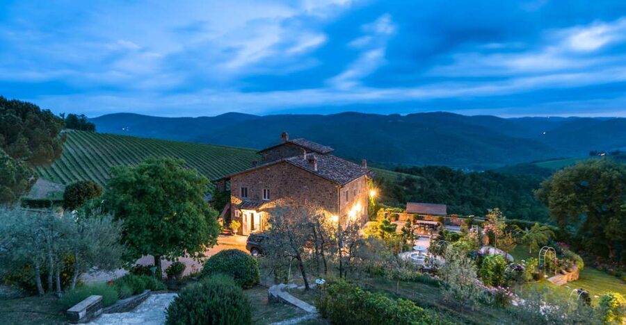 Total Immersion Wine Tour in Chianti - The rooftop view above the Chianti vineyards