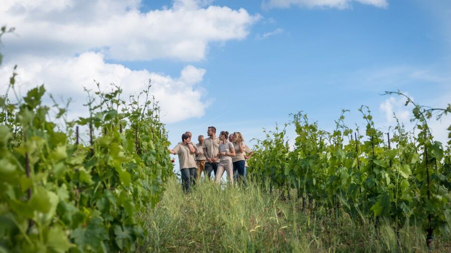 Total Immersion Wine Tour in Chianti - A tasting that teaches you what to notice