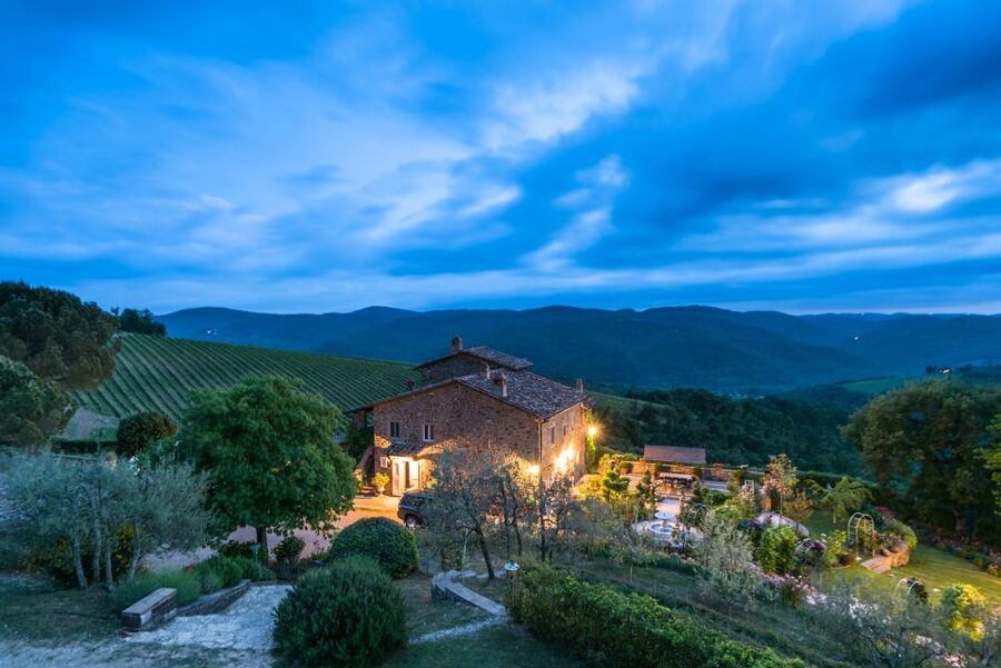 Total Immersion Wine Tour in Chianti - Walking through organic agriculture