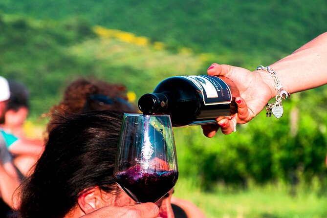 Tour through the vineyards and wine and olive oil tasting in Tuscany - Tasting four wines with Tuscan food
