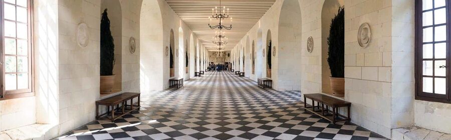 Tours/Amboise: Chambord, Chenonceau Day Trip & Wine Tasting - Chenonceau brings the Loire story to life