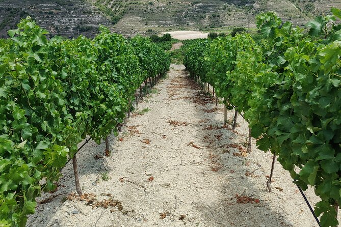 Troodos Mountains Grape Escape: All Inclusive Food & Wine Tour - The surprise stop and the changing route