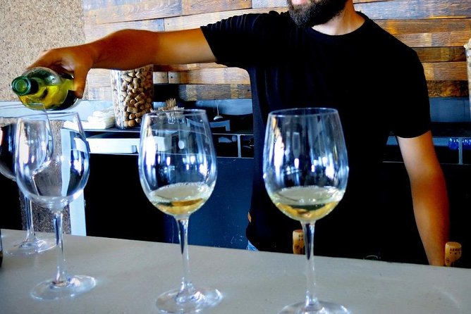 Troodos Mountains Vino Venture: All Inclusive Full Day Wine Tour - Three wineries, three different viewpoints