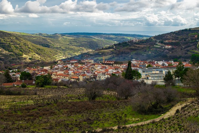 Troodos Mountains Vino Venture: All Inclusive Full Day Wine Tour - Who should book this day in Cyprus