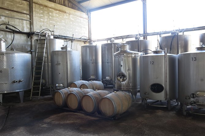 Troodos Mountains Vino Venture: All Inclusive Full Day Wine Tour - Omodos: village streets, shops, and a long lunch