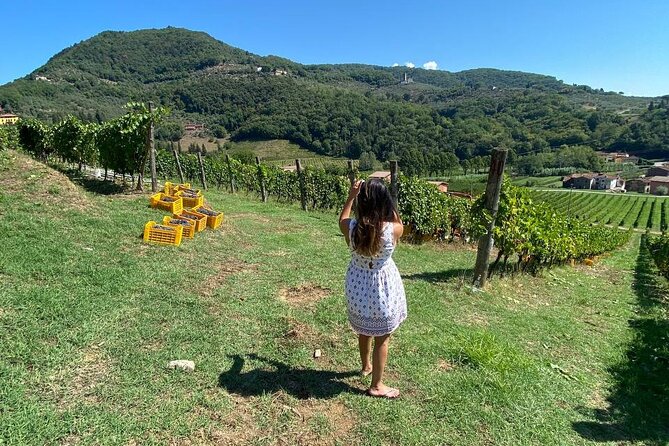 Tuscan Wine Tour in Lucca by van - Why the lunch matters