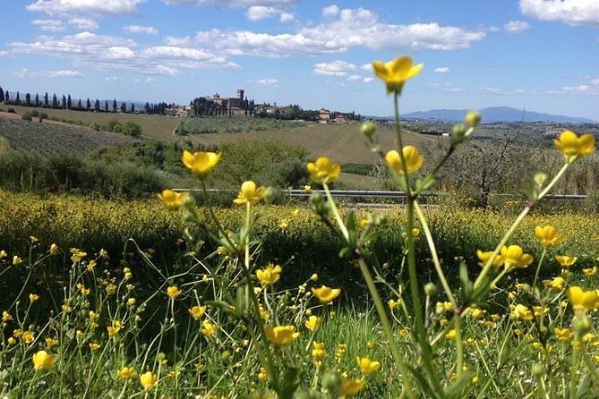 Tuscany Bike Tours Through the Chianti Hills with Wine Tasting - E-bike or standard bike?