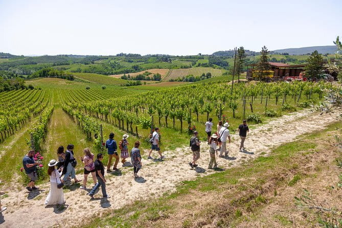 Tuscany Day Trip from Florence: Siena, San Gimignano, Pisa and Lunch at a Winery - San Gimignano and its 14 surviving towers