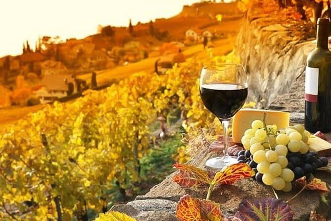 Tuscany Day Trip from Florence: Siena, San Gimignano, Pisa and Lunch at a Winery - Pisa and the Square of Miracles