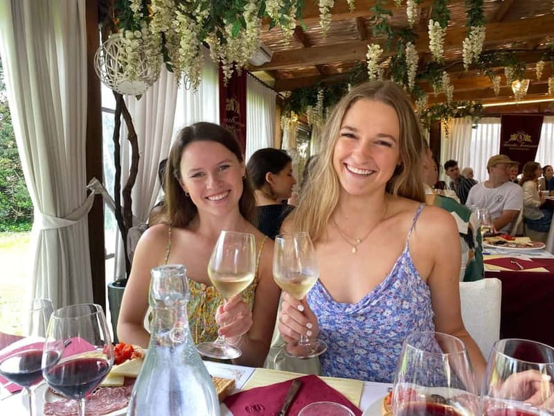 Tuscany Wine Tour : 2 Wineries & San Gimignano from Florence - Who should book this tour?