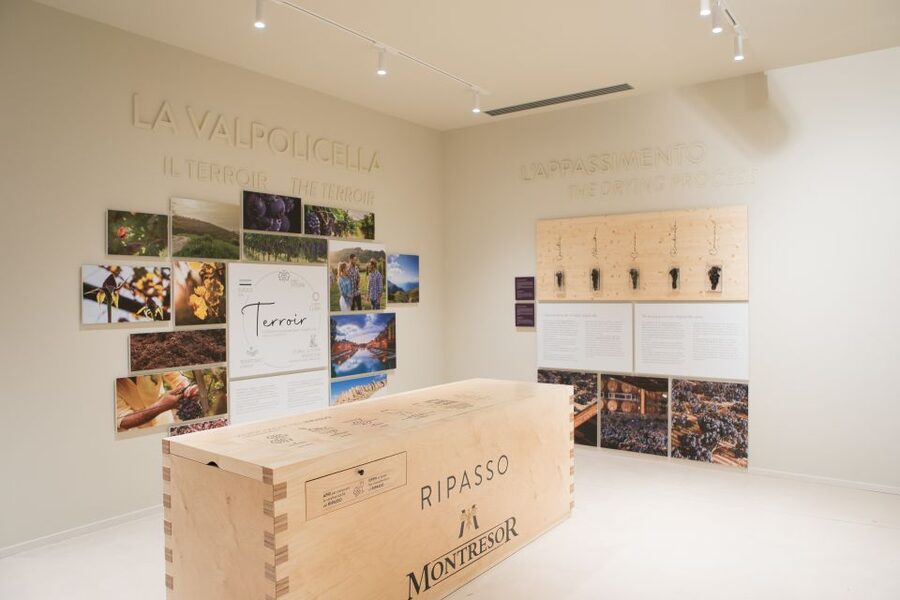 Verona: Montresor Winery Visit with Wine Tasting and Snacks - Quick Points About the Montresor Visit