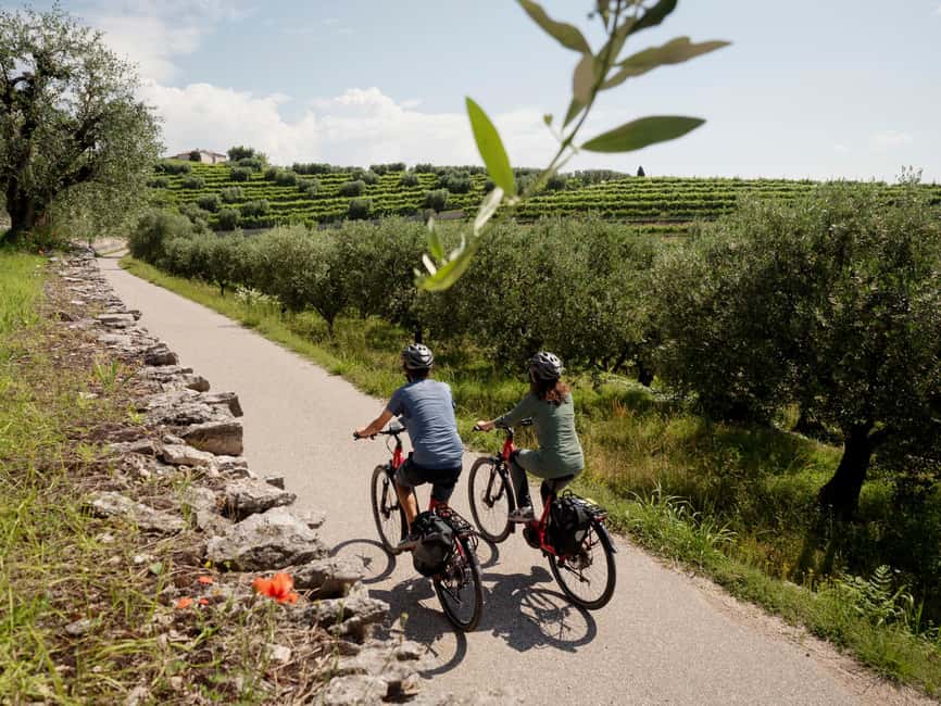 Verona: Valpolicella Wine Self-Guided E-Bike Tour & Tastings - The return ride to Verona