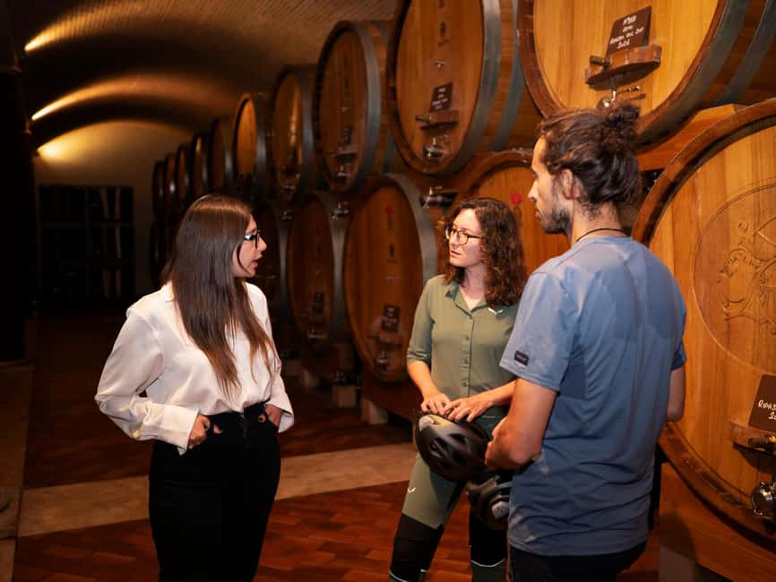 Verona: Valpolicella Wine Self-Guided E-Bike Tour & Tastings - Who will enjoy this ride most