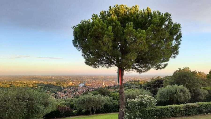 Verona: Wine Tasting with Snacks and Panoramic Views - Is Corte San Mattia Good Value?
