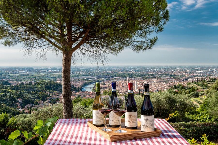 Verona: Wine Tasting with Snacks and Panoramic Views - Cold Cuts, Cheese, and the Italian Aperitivo Spirit